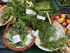 フレッシュハーブ