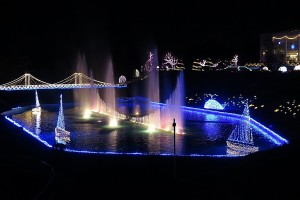 フラワーパークのイルミネーション