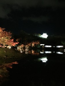 彦根城ライトアップ